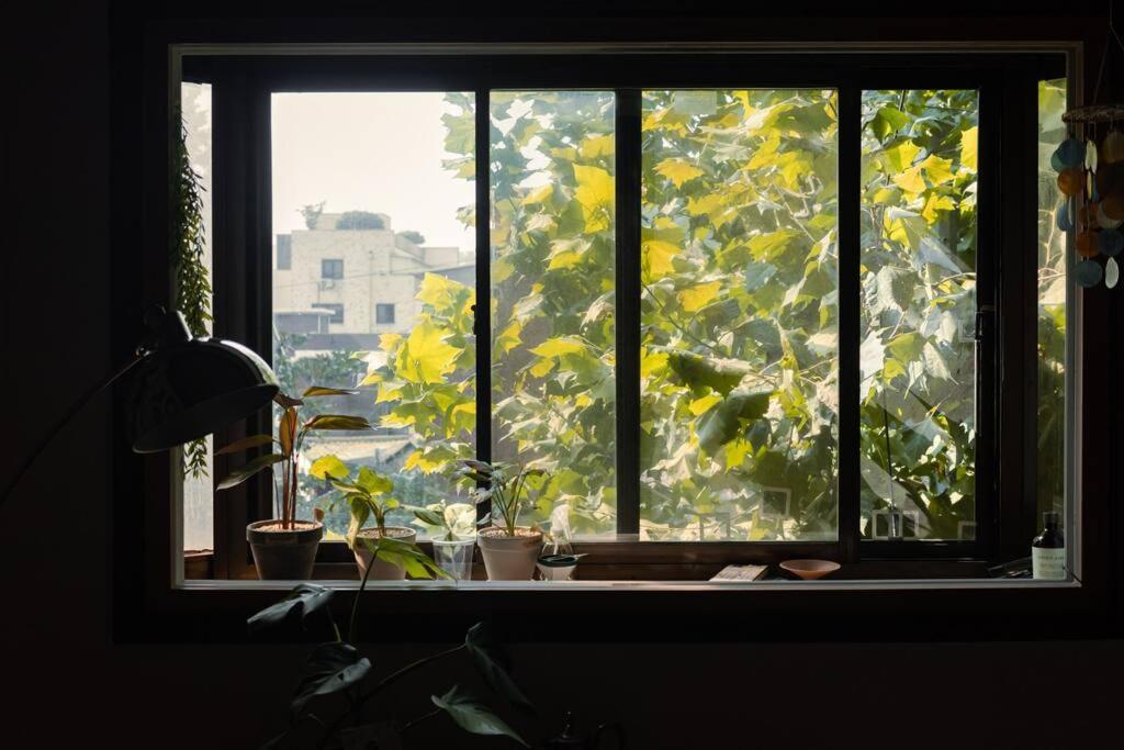 Comfy Leafy In Yeonnam