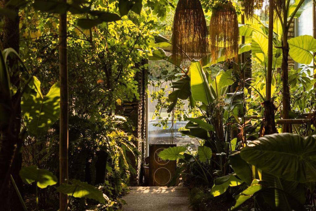 Comfy Leafy In Yeonnam Appartement