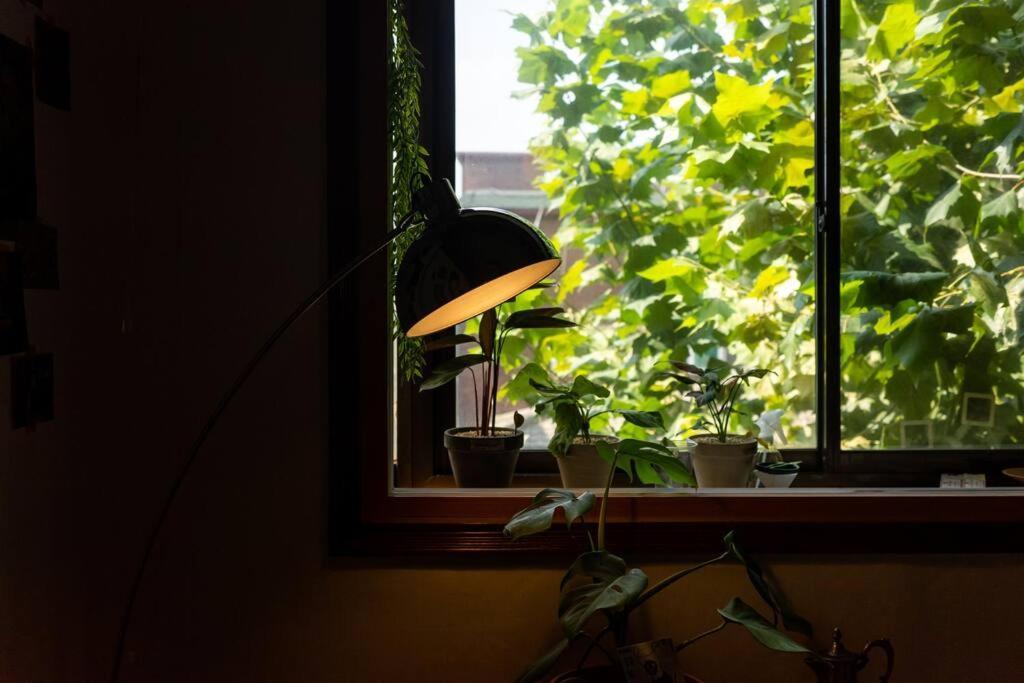 Comfy Leafy In Yeonnam Apartment